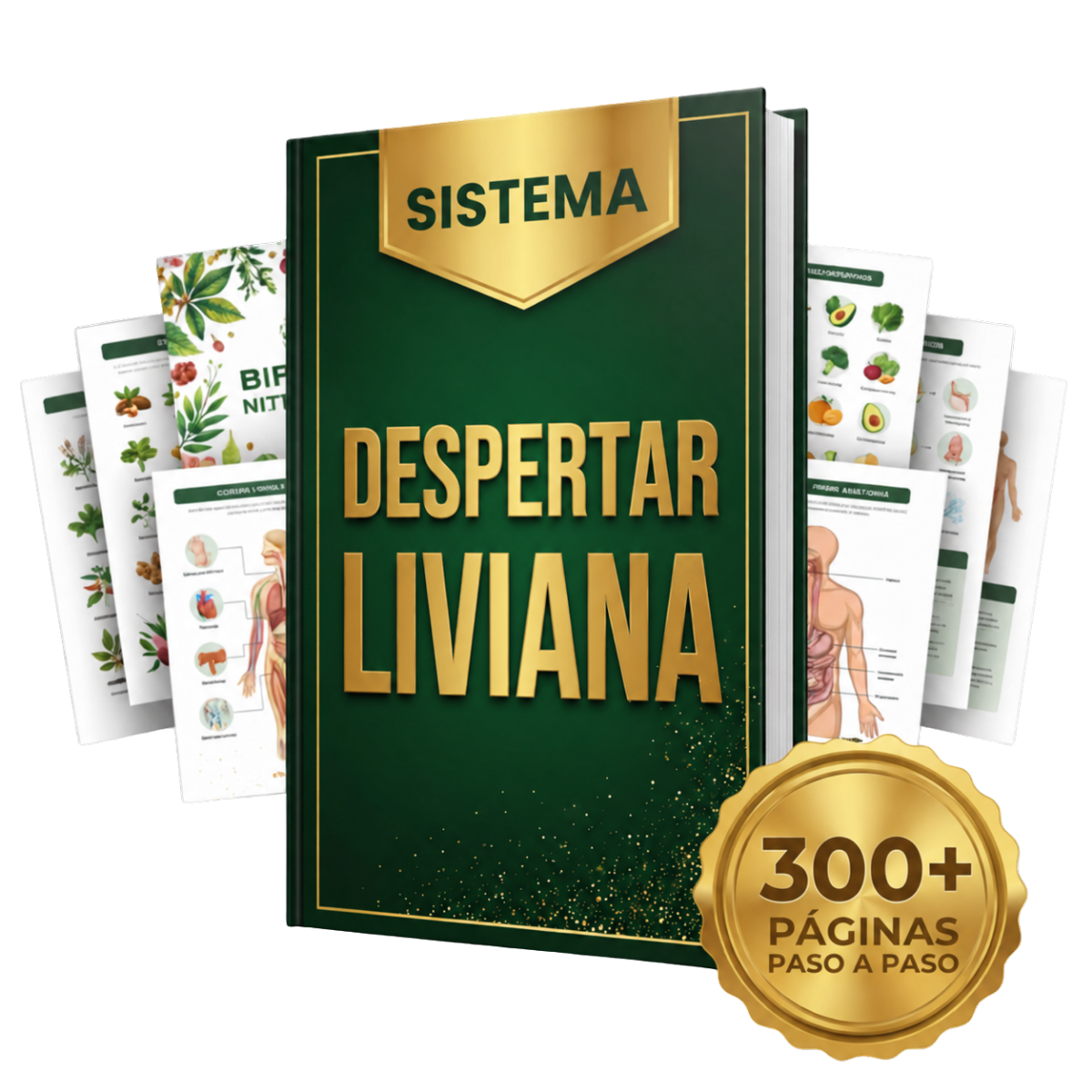 Despertar Liviana SOS Estreñimiento™