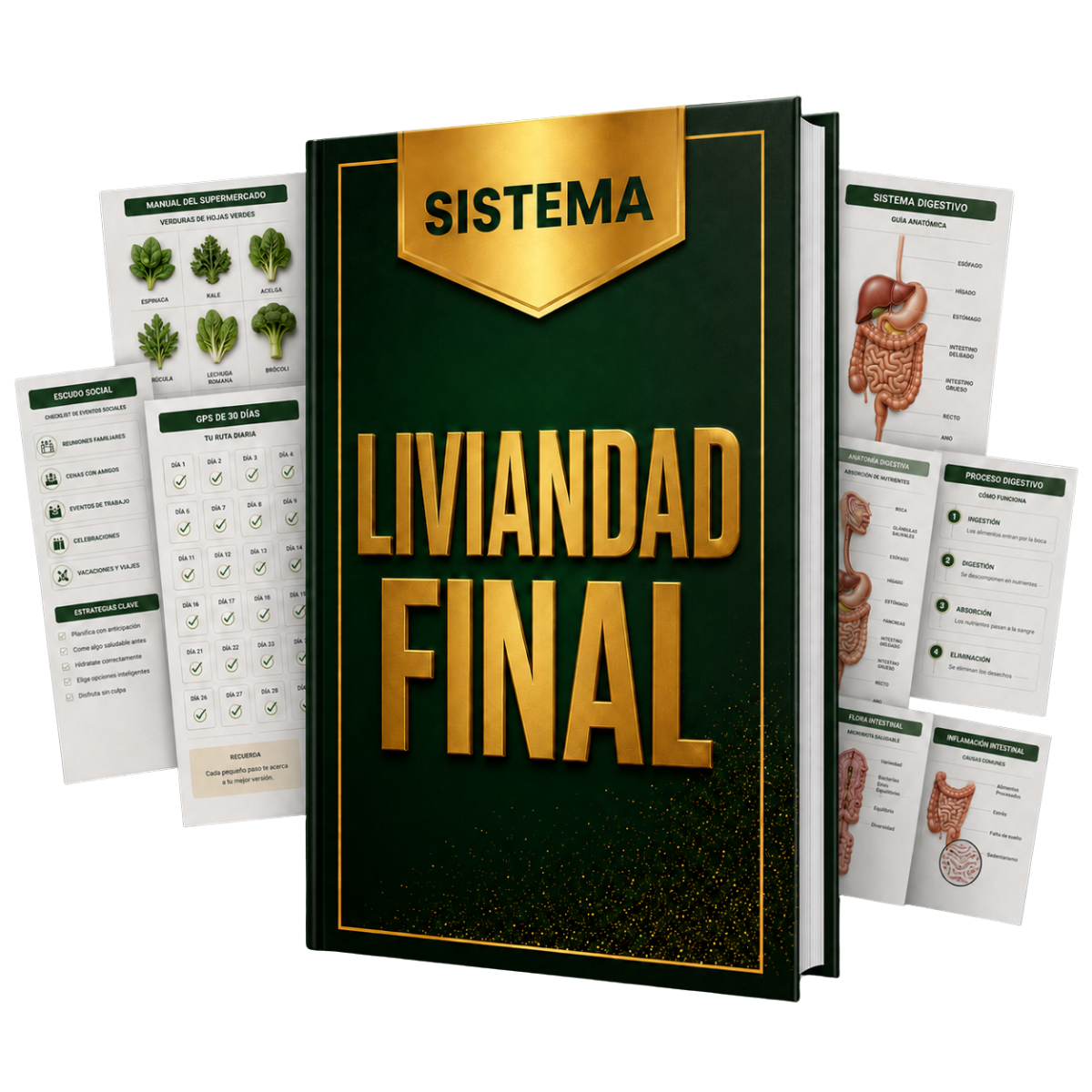 Sistema Liviandad Final
